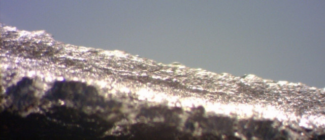 microscopic-zinga-layer